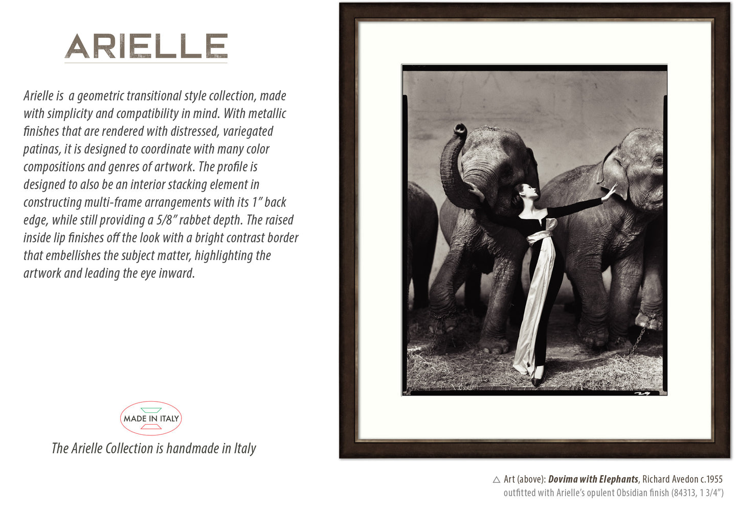 Arielle Raised Lip Modern Frames