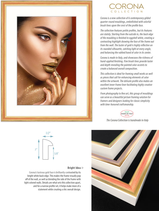 Corona Gold Contemporary Frames