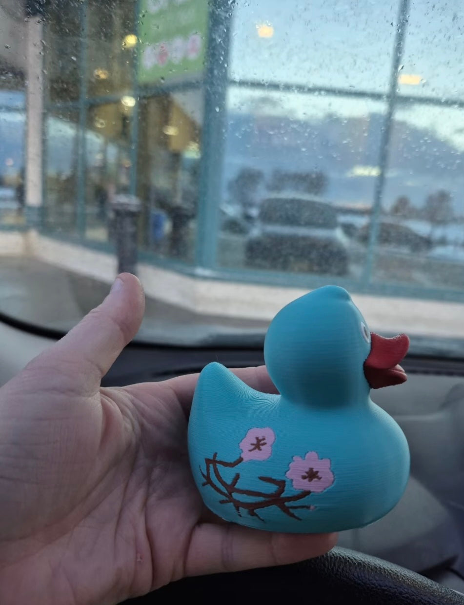 Japanese Inspired Duck