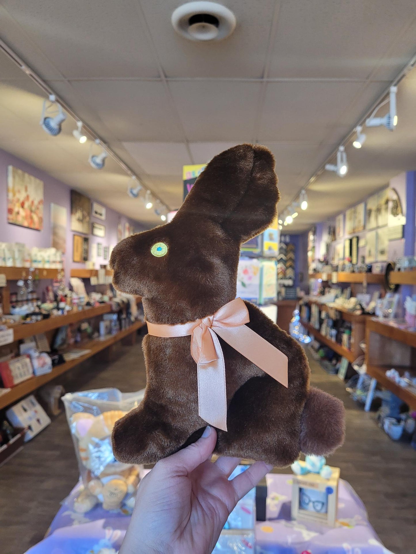 Chocolate Bunny Plush