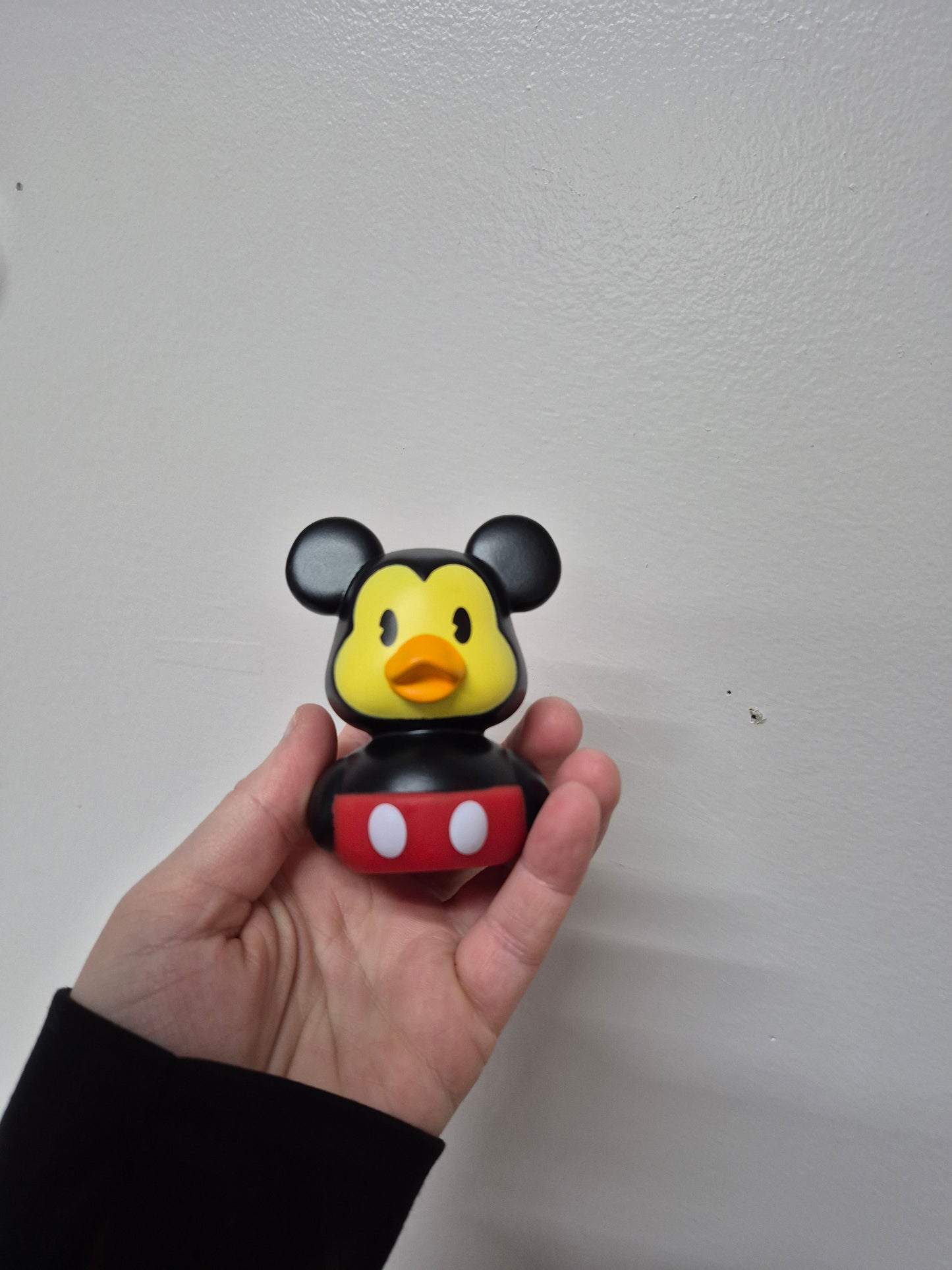 Disney & Other Character Ducks