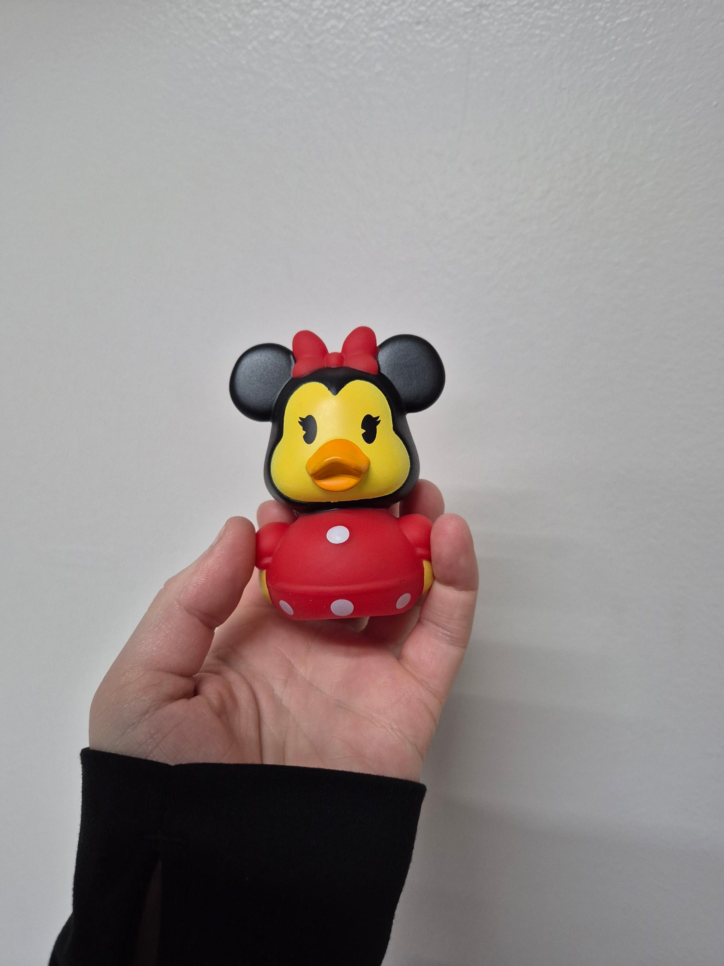 Disney & Other Character Ducks