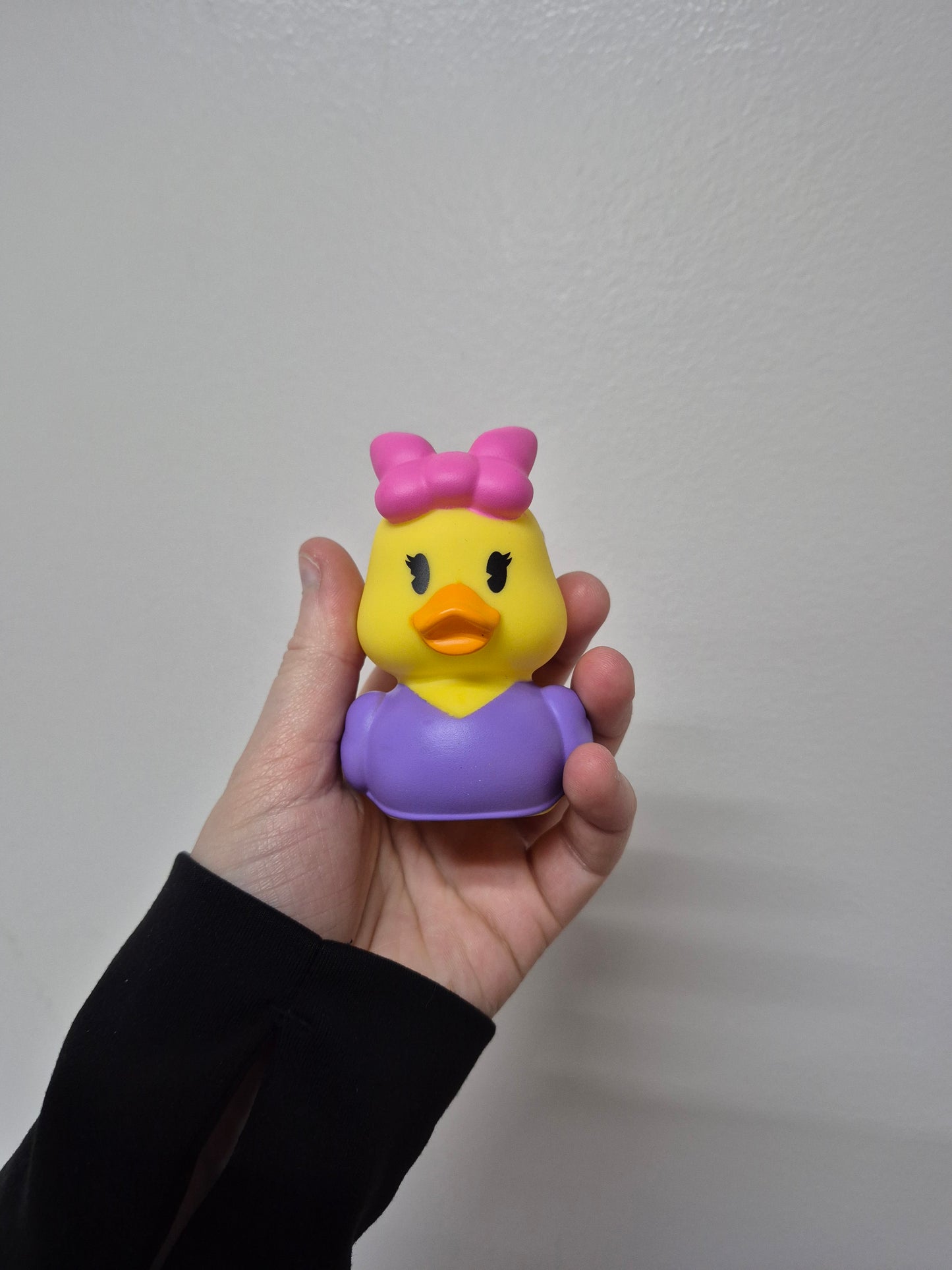 Disney & Other Character Ducks