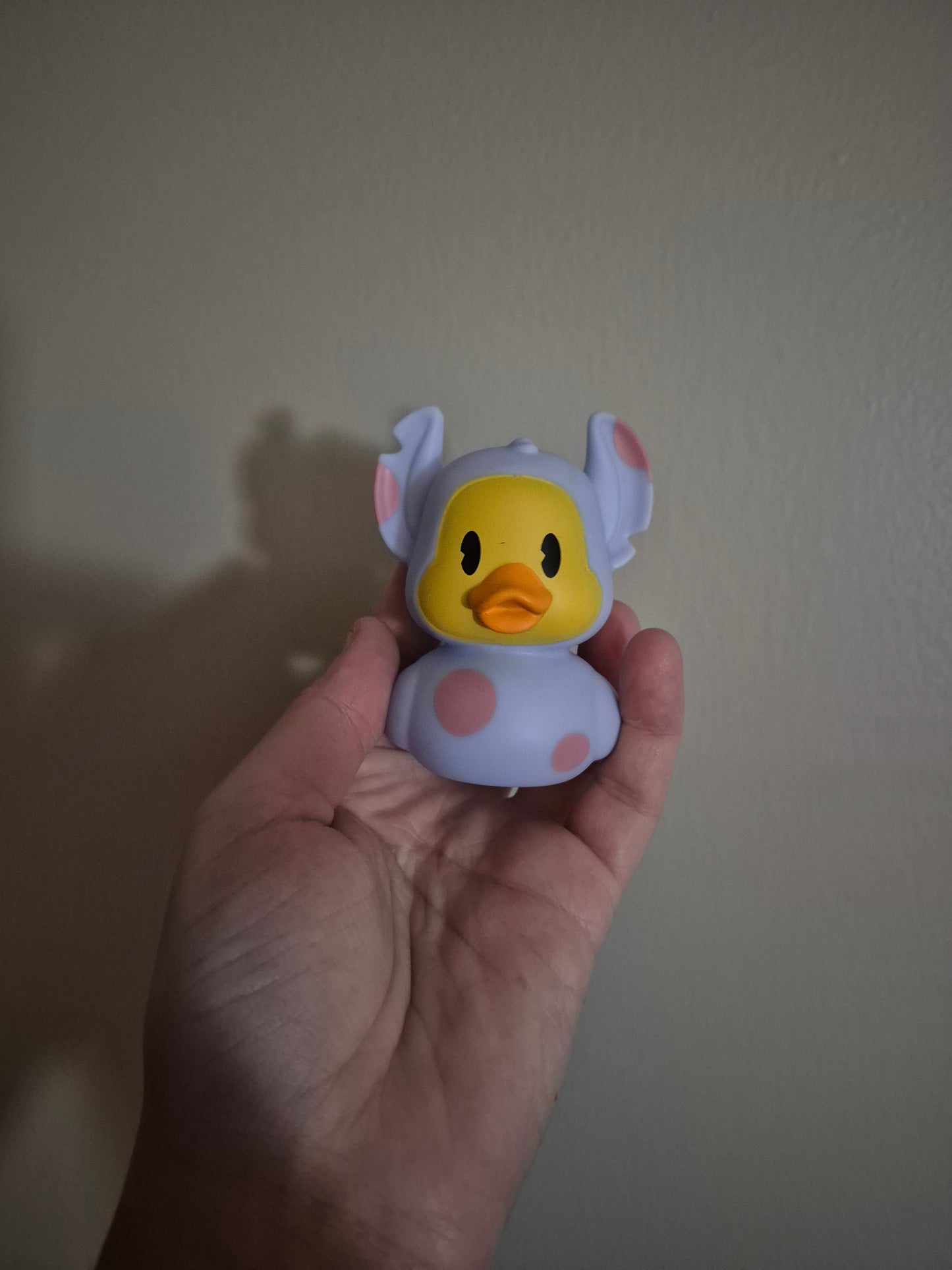 Disney & Other Character Ducks