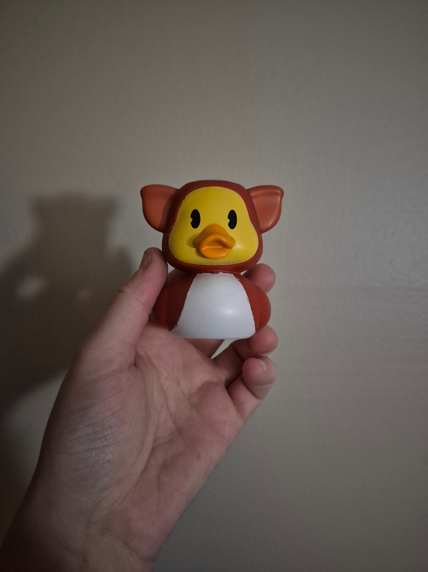 Disney & Other Character Ducks