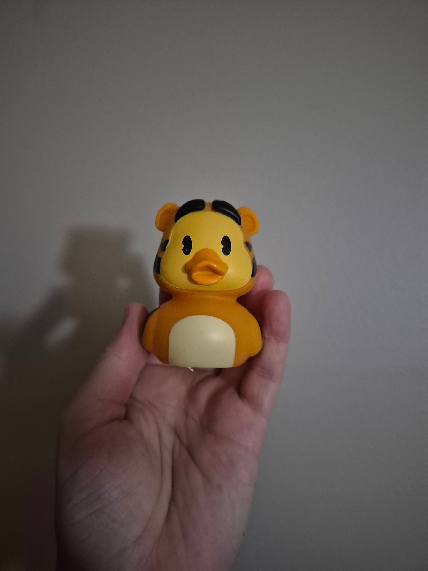 Disney & Other Character Ducks