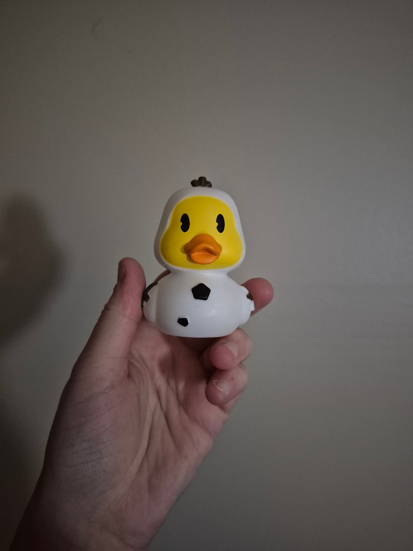 Disney & Other Character Ducks