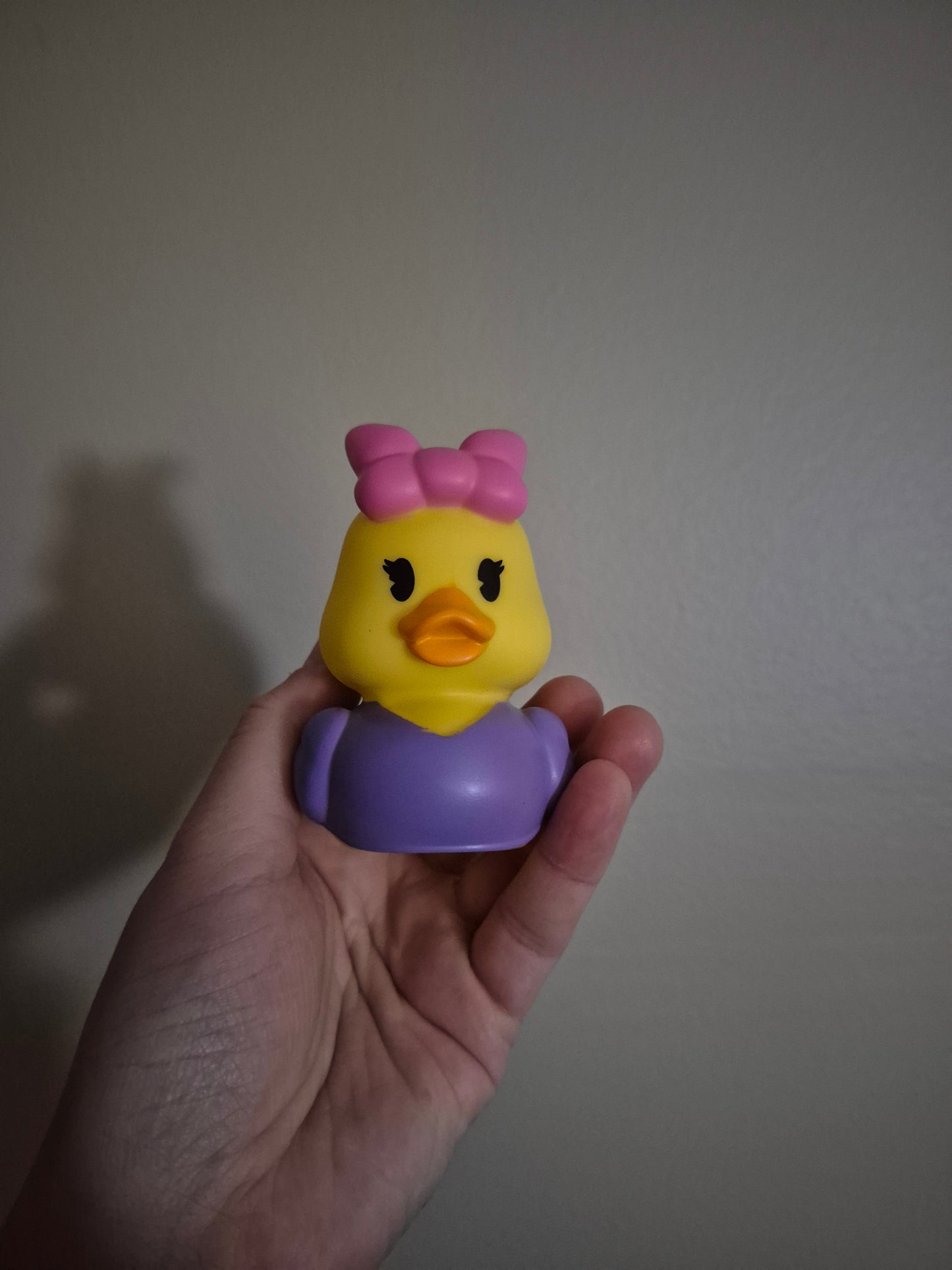 Disney & Other Character Ducks