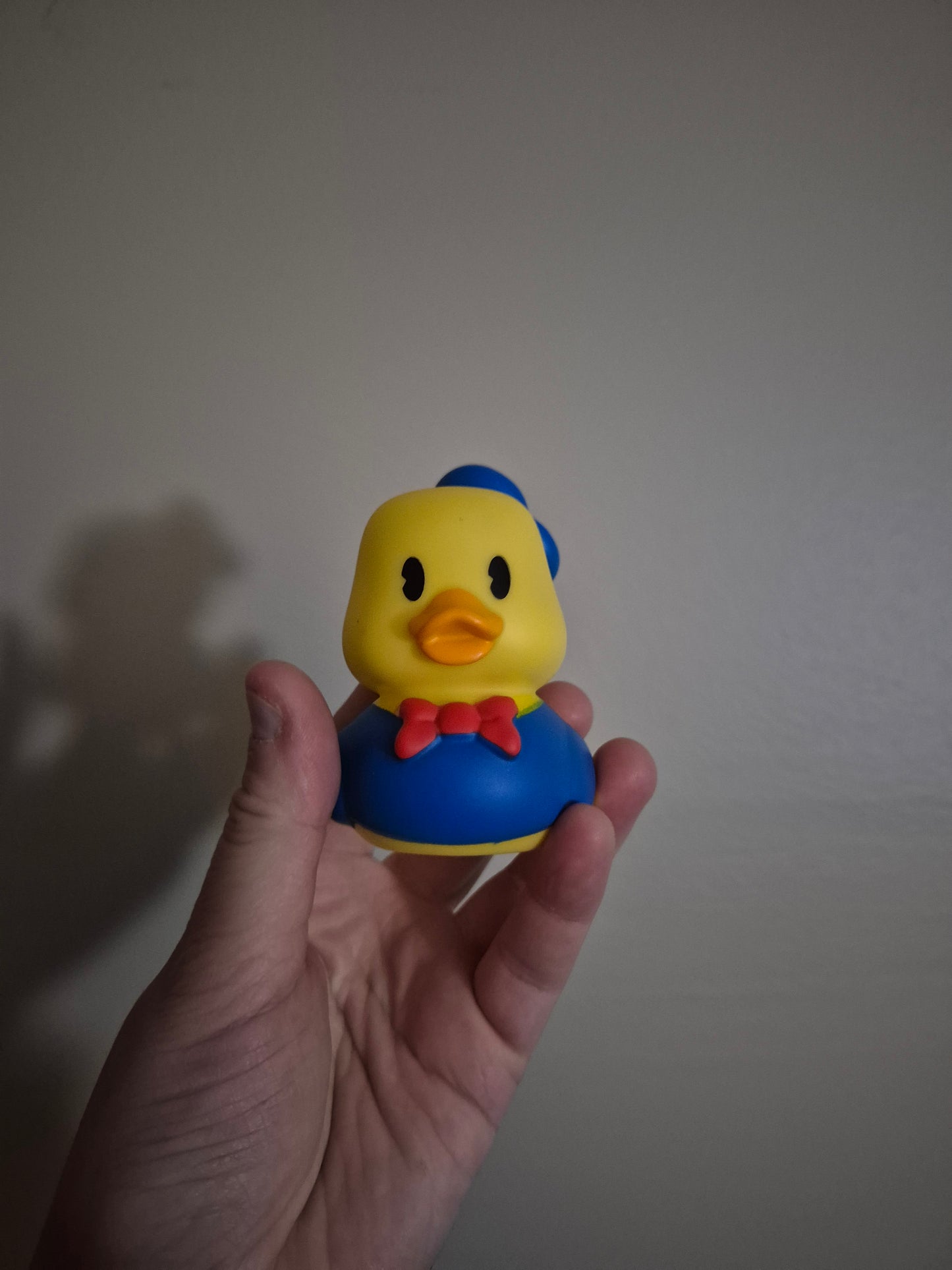 Disney & Other Character Ducks