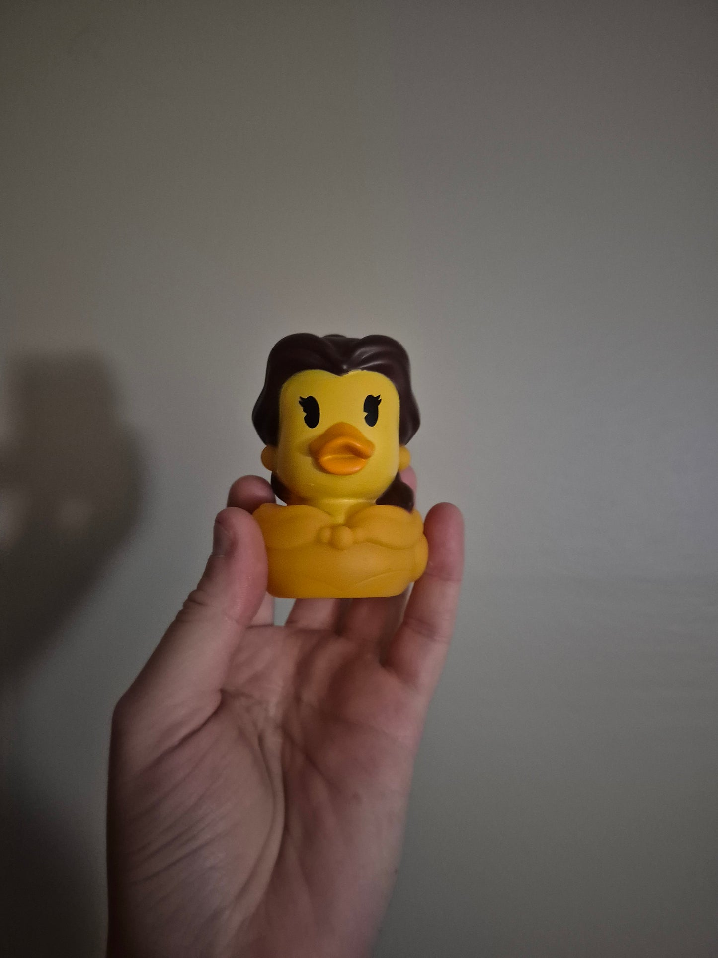 Disney & Other Character Ducks