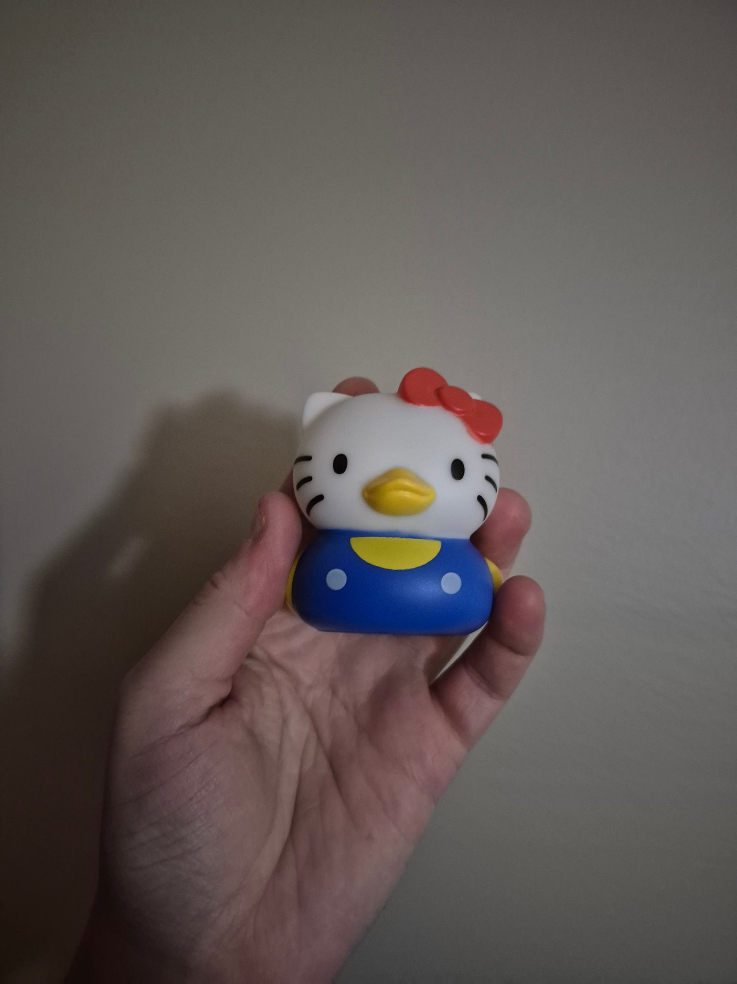 Hello Kitty Ducks