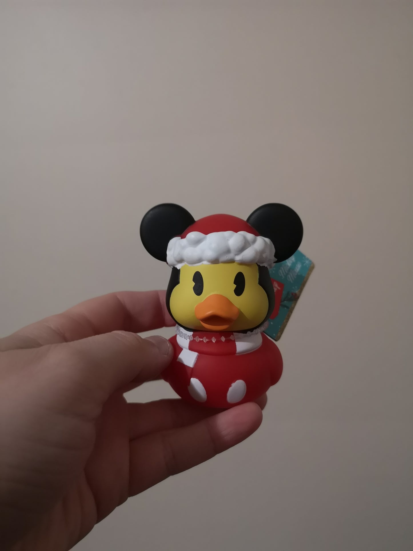 Disney & Other Character Ducks