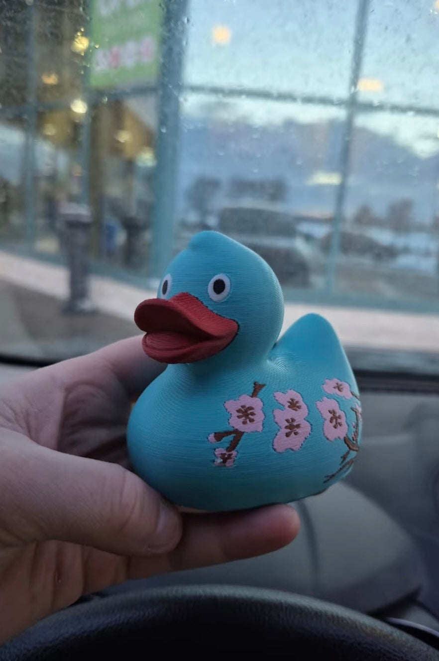 Japanese Inspired Duck