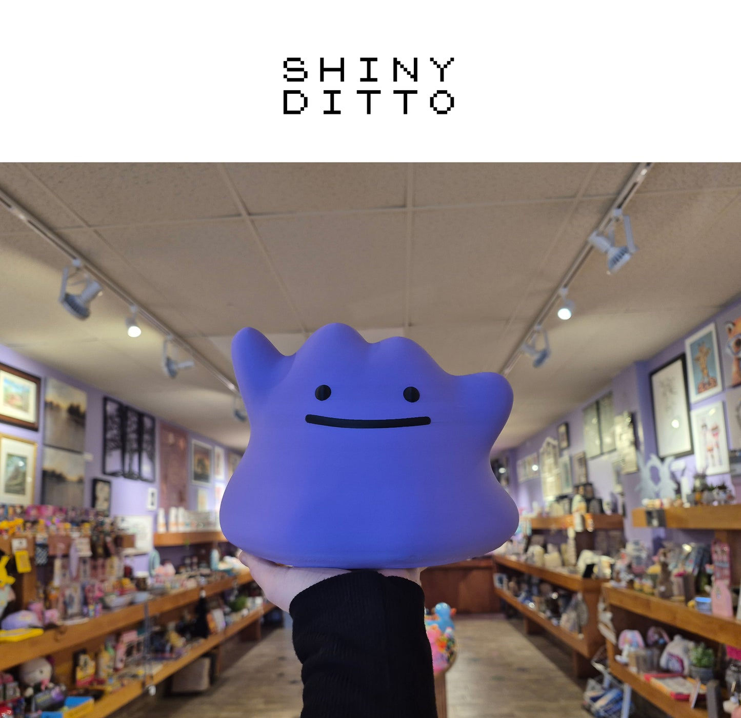 Custom 3D Printed Pokemon